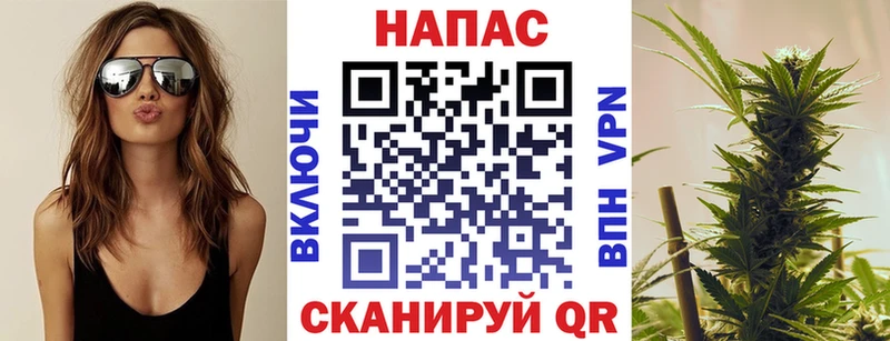 Как найти наркотики Курильск A PVP Псилоцибиновые грибы Марихуана Cocaine ГАШ