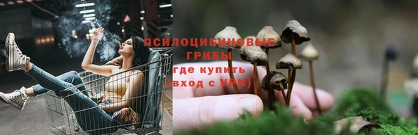 MDMA Богданович