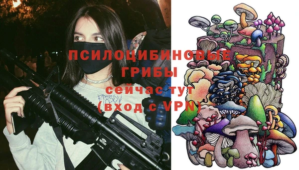 MDMA Богданович